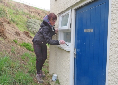 Painting the window frames